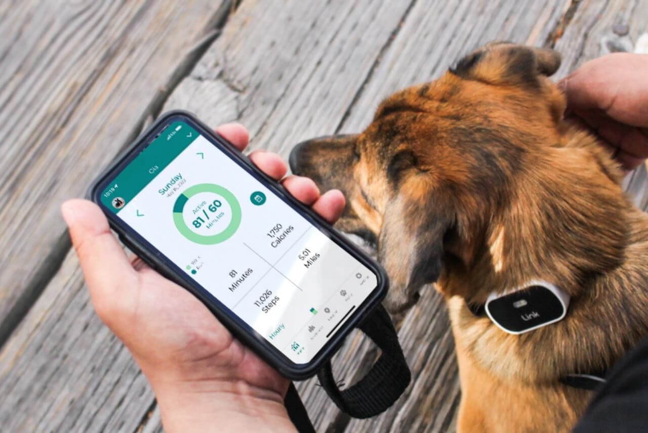 How to Sync Your Dog's Care Collar