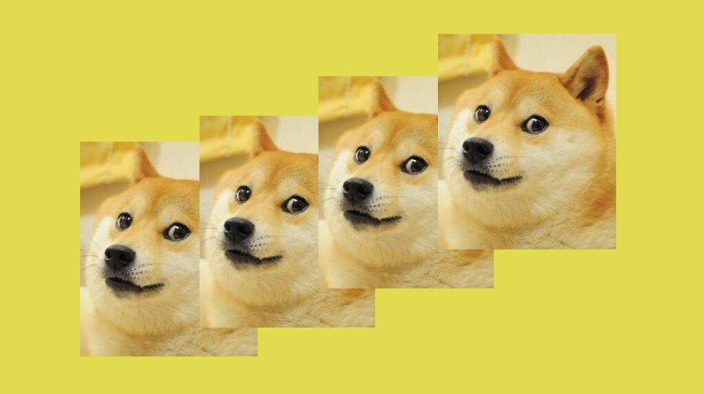 Doge meme