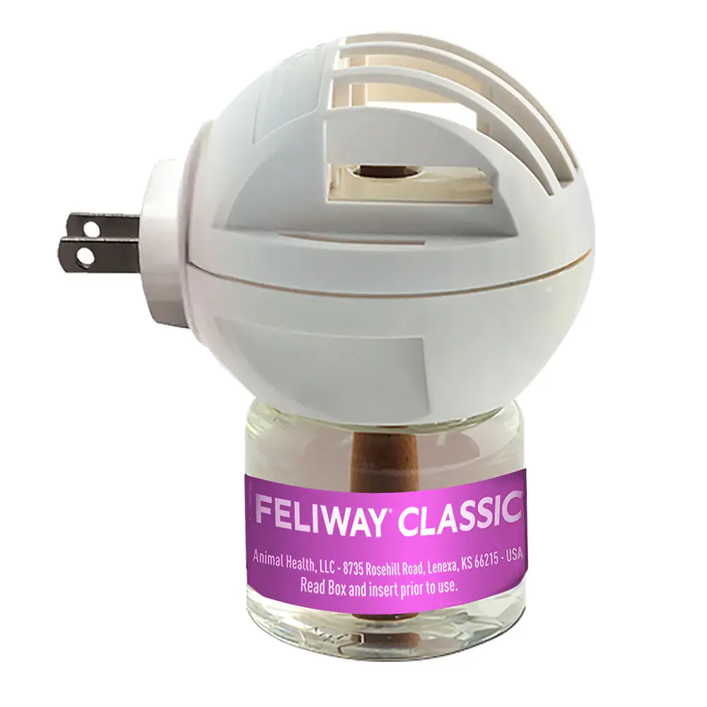Factors to Consider when Choosing Feliway for Urine Problems