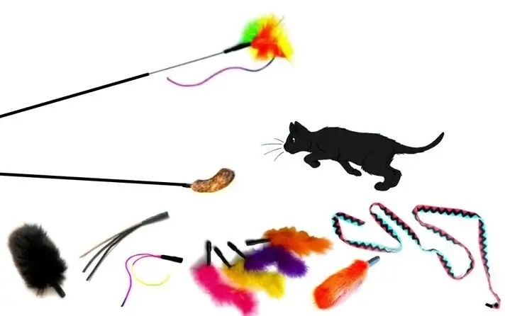 Feather Frenzy Interactive Cat Teaser for Siamese Cats