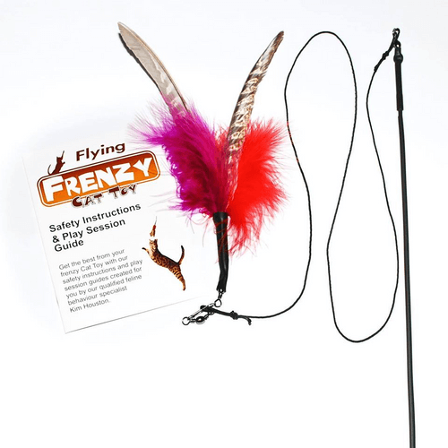 Feather Frenzy Interactive Wand for Siamese Cats