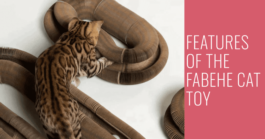 Features of the fabehe cat toy