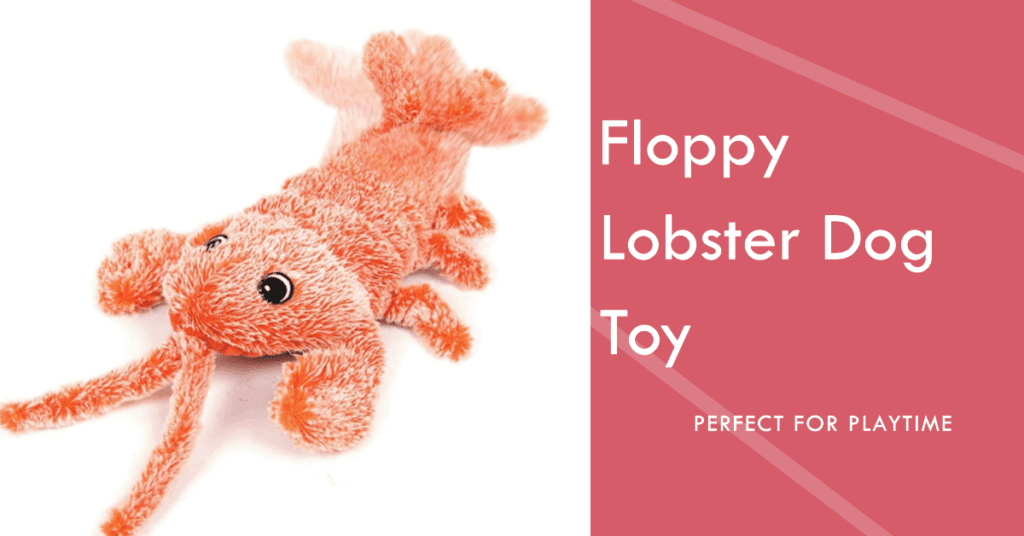 Description of the floppy lobster dog toy