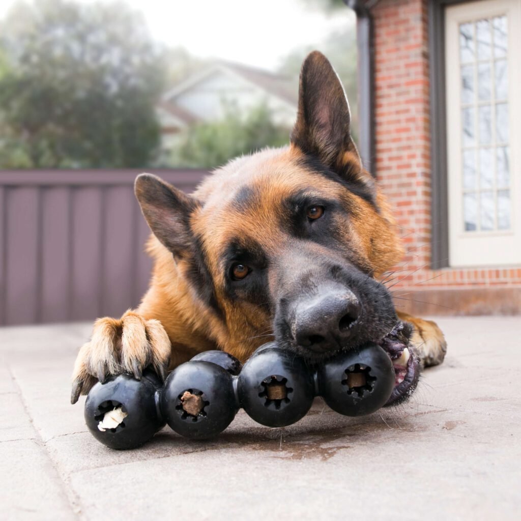 Frequently asked questions about Kong dog toy warranties