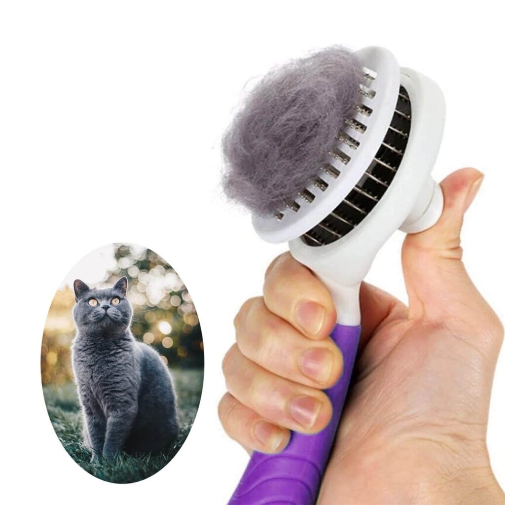 Gathering the necessary grooming tools