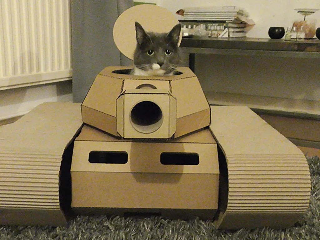 Growing popularity of cardboard cat toys