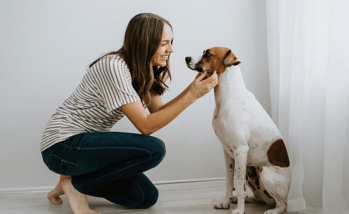 look into in-home pet sitters or doggy aside from doggy day care centers