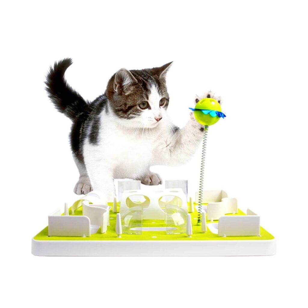 New to Cat Puzzle Toys? Here’s Where To Start