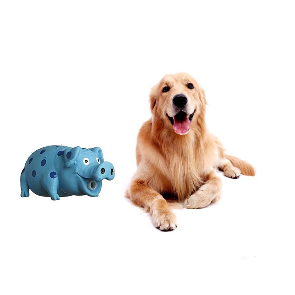 Other affordable dog toy options