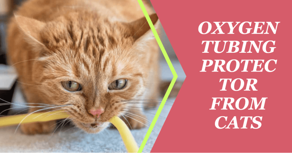 Oxygen tubing protector from cats