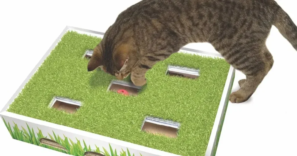 Petstages Grass Patch Hunting Box Cat Scratcher Toy
