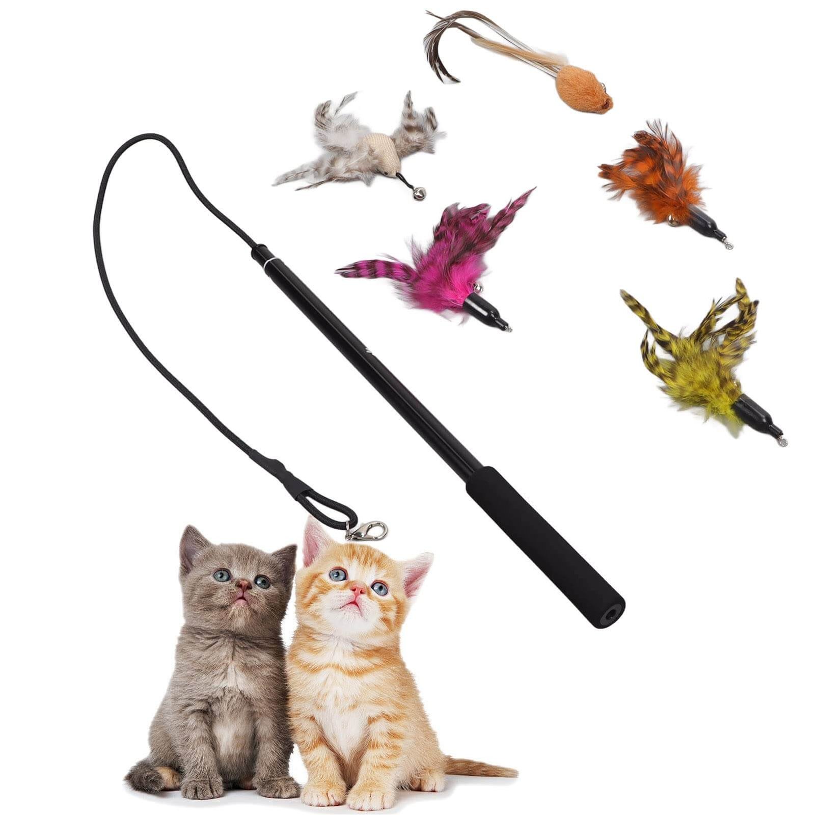 Pounce 'n Play Interactive Feather Wand for Siamese Cats
