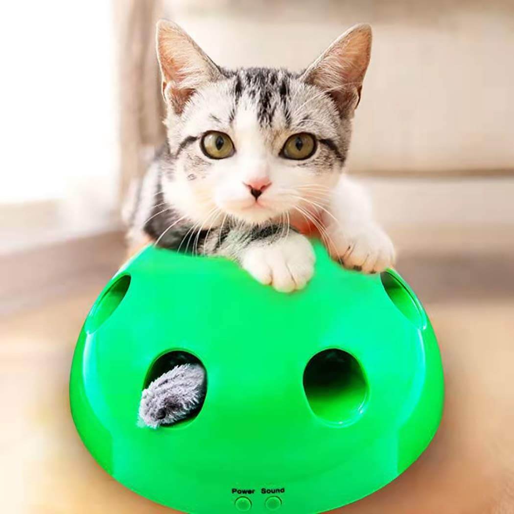 Siamese PlayQuest Interactive Cat Toy