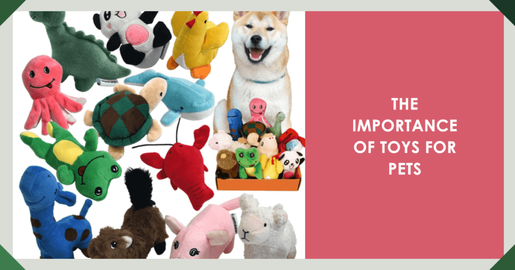 The Importance of Toys for Pets