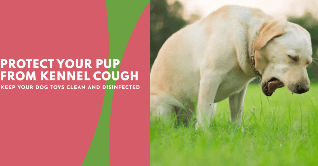 Understanding Kennel Cough and the Importance of Disinfecting Dog Toys