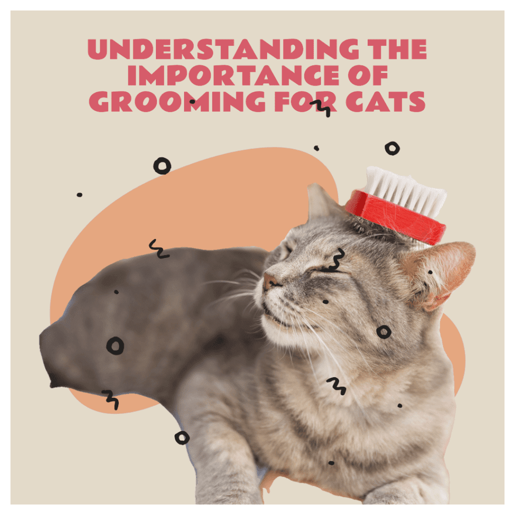 understanding the importance of grooming for cats
