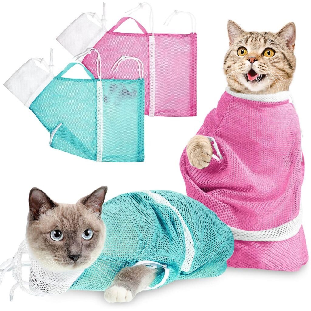 Using a cat grooming bag or harness