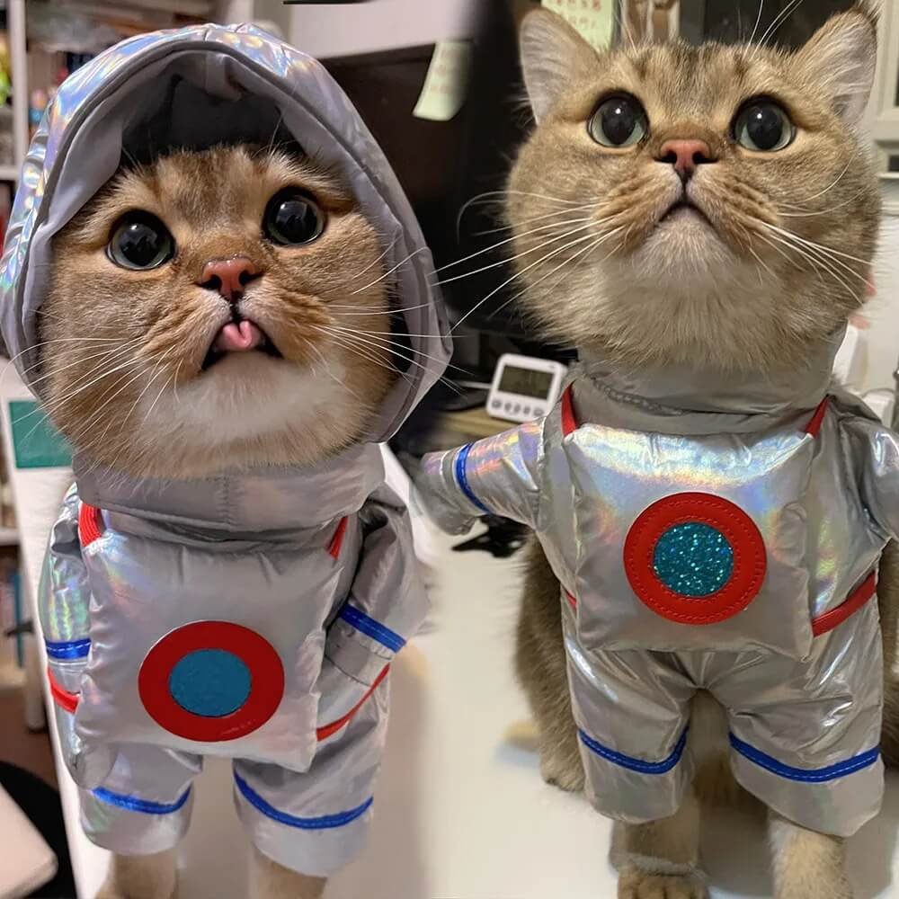 Cat Astronaut Costume
