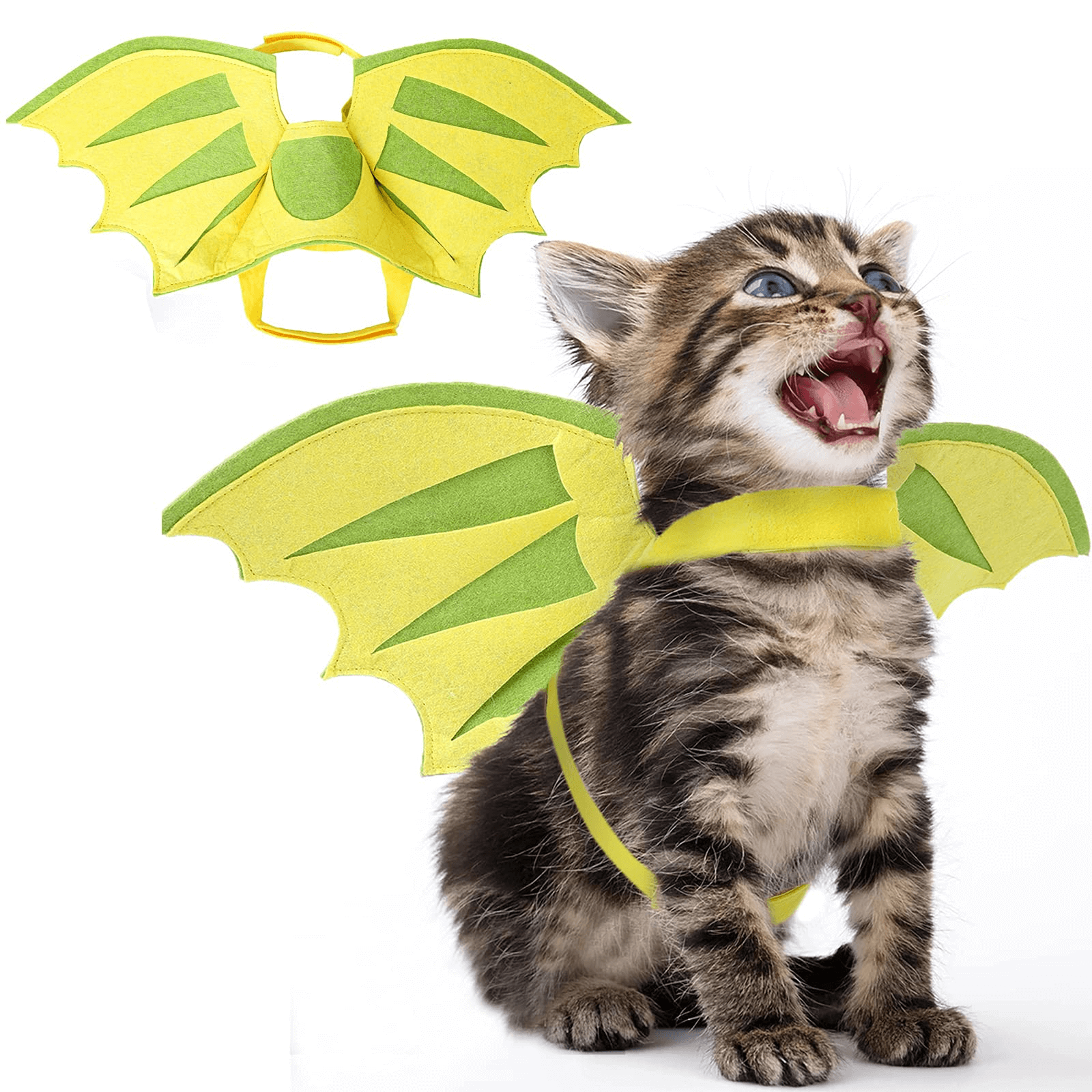 Cat Dragon Costume