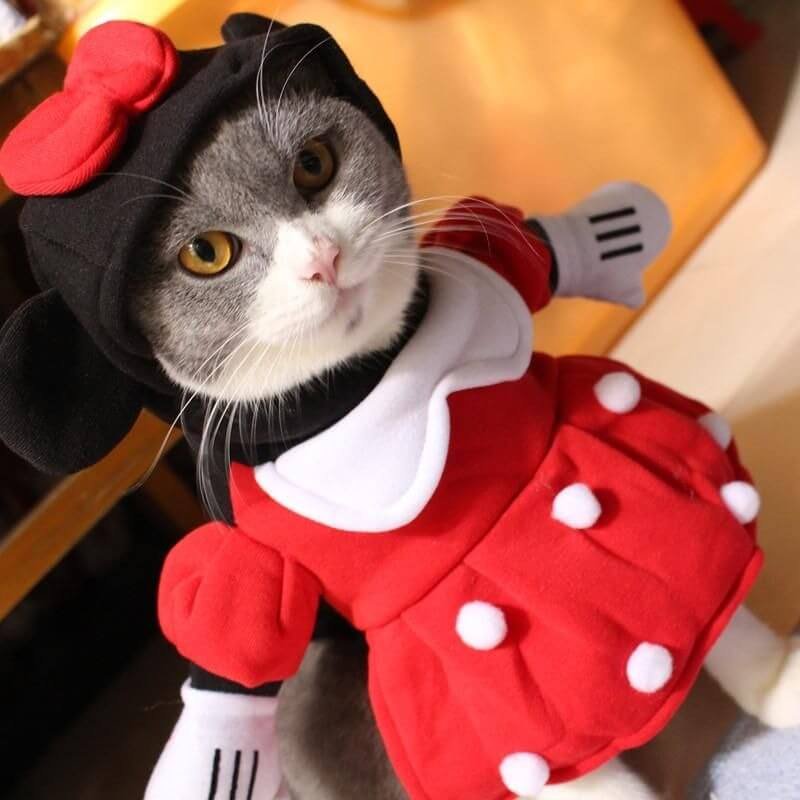 Cat Mickey Mouse Costume