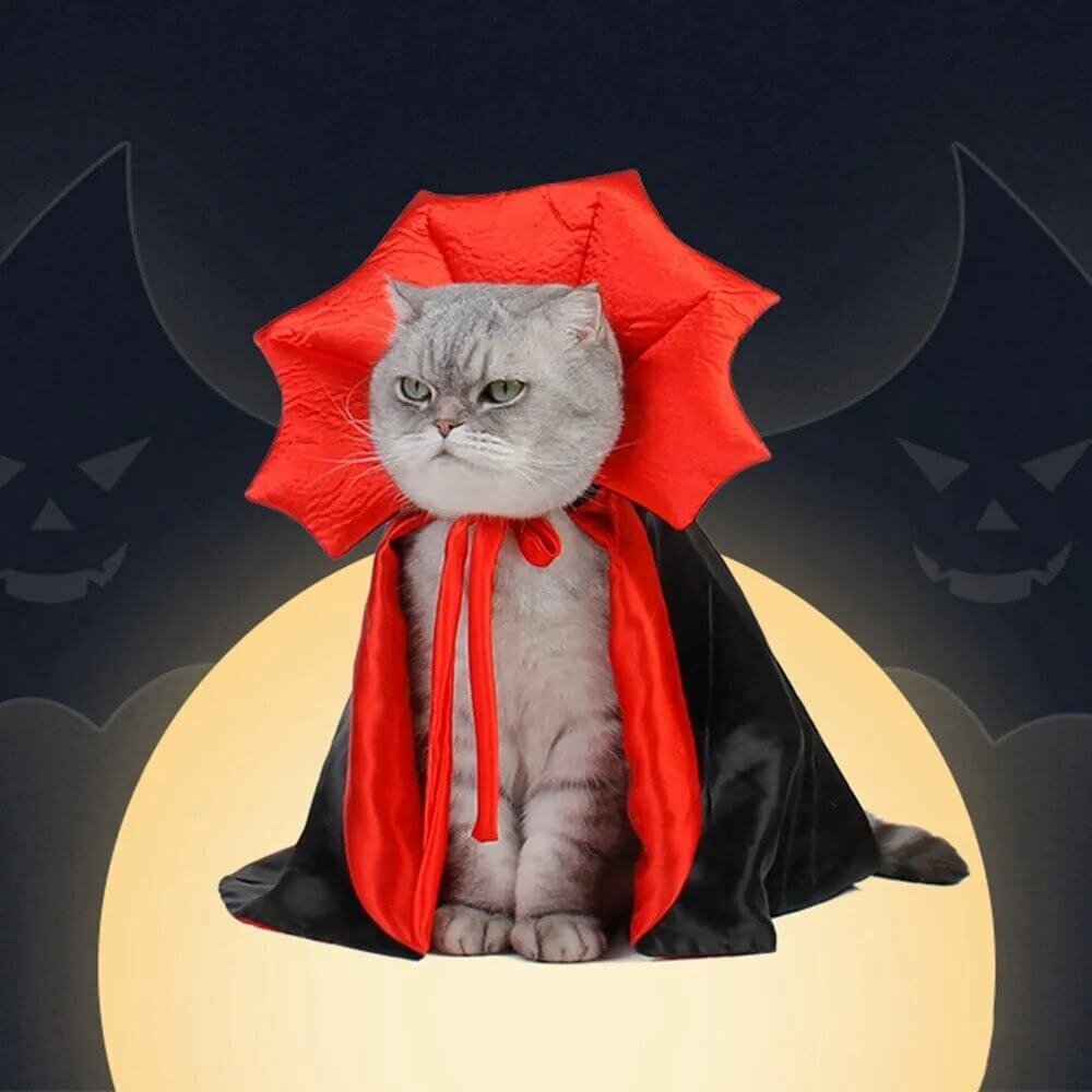 Cat Vampire Costume