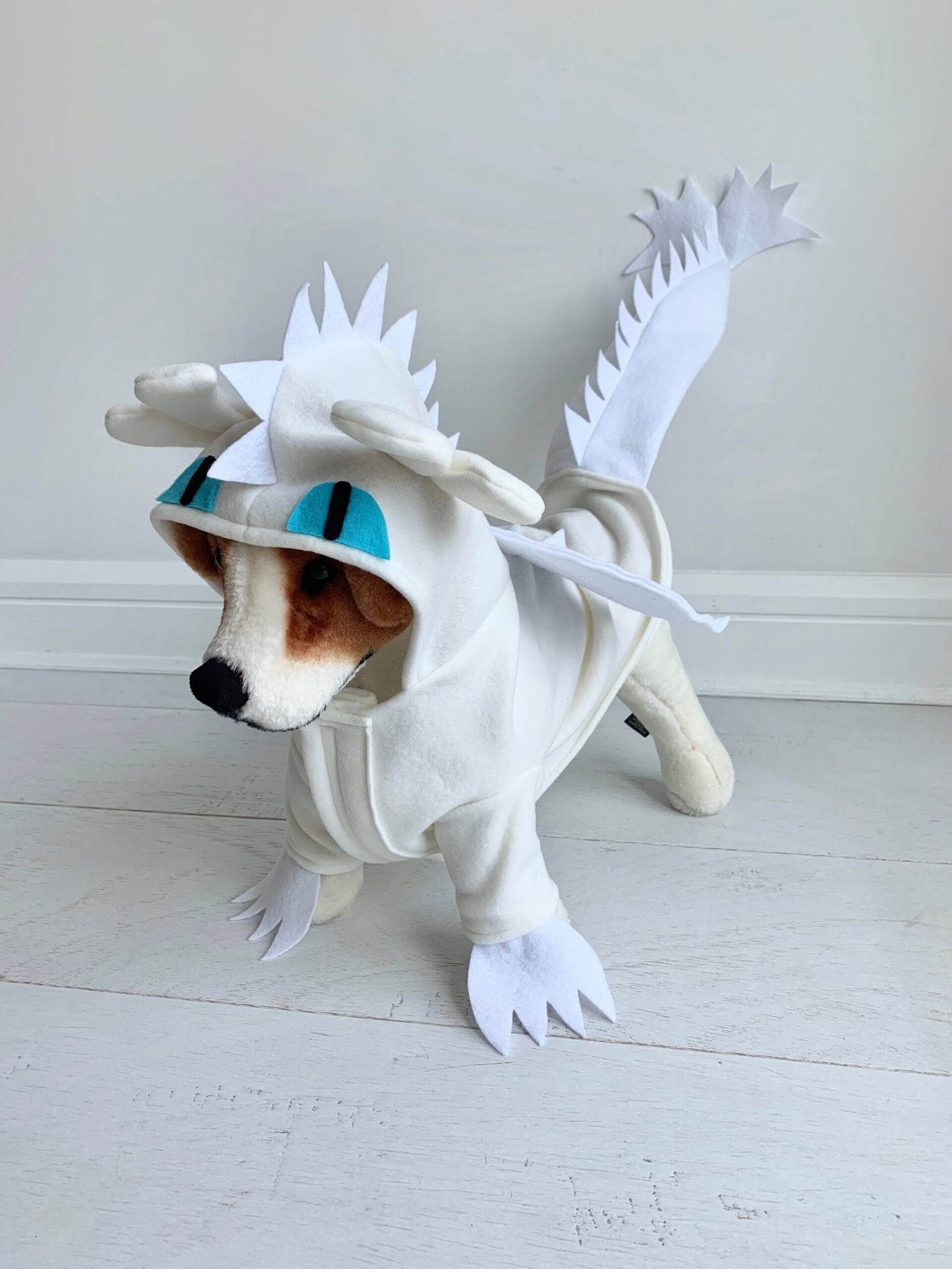 Dragon and Knight costume for dog