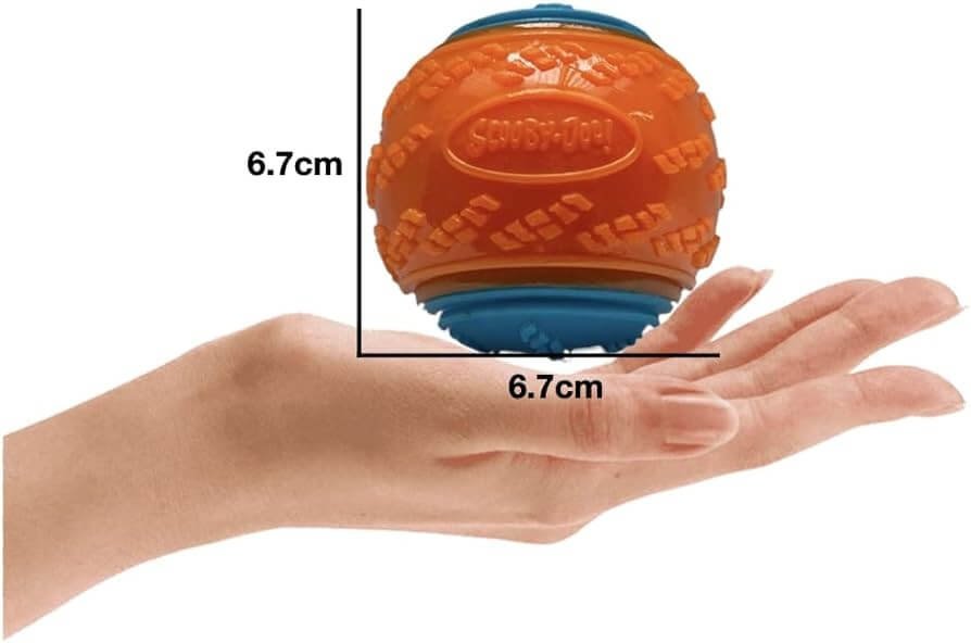 Features and Design of the Scooby Doo Dog Ball