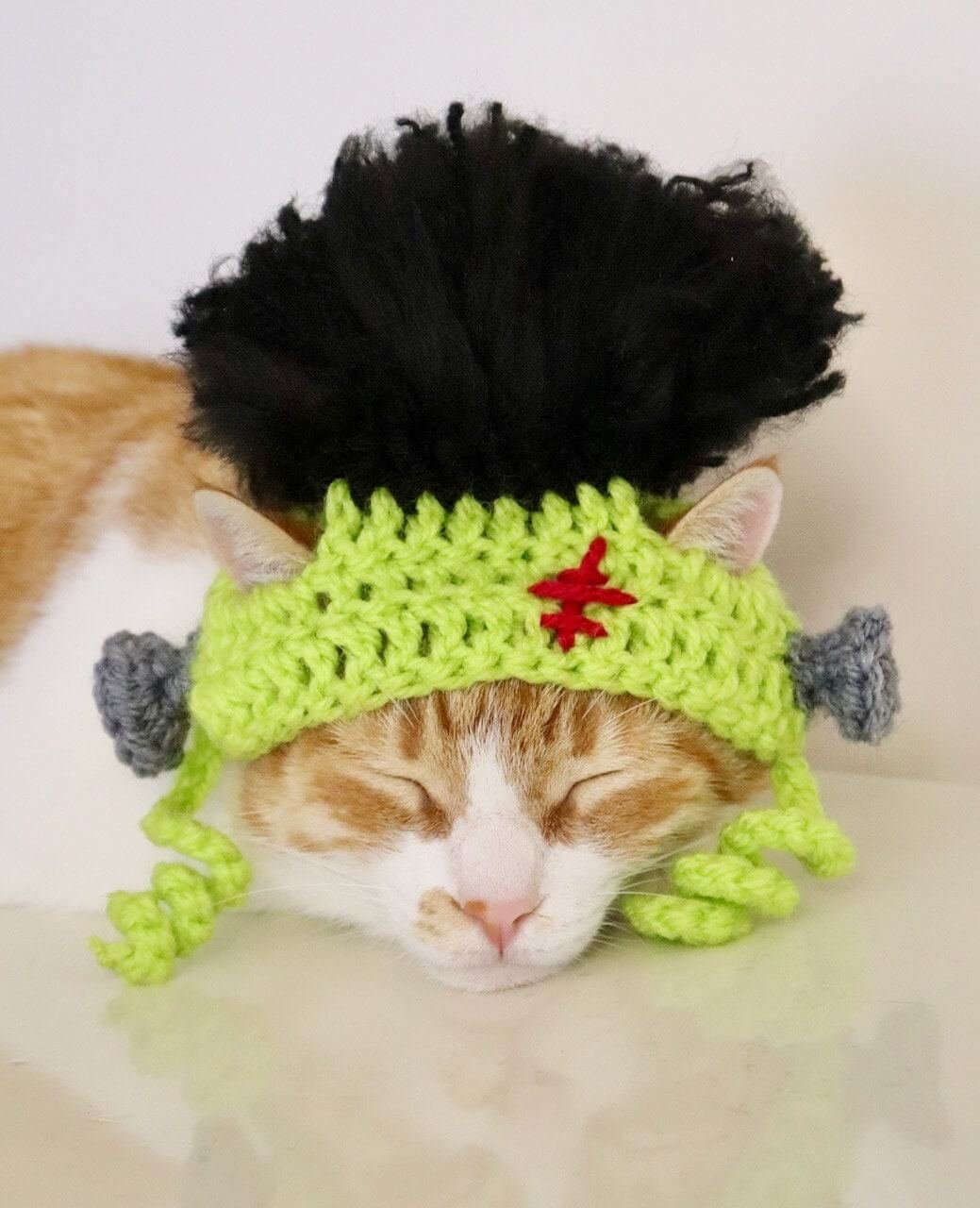Frankenstein Top Hat diy for cat