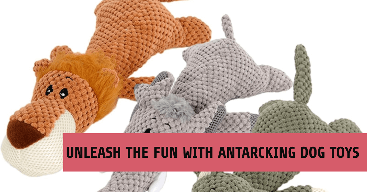 Overview of antarcking dog toys