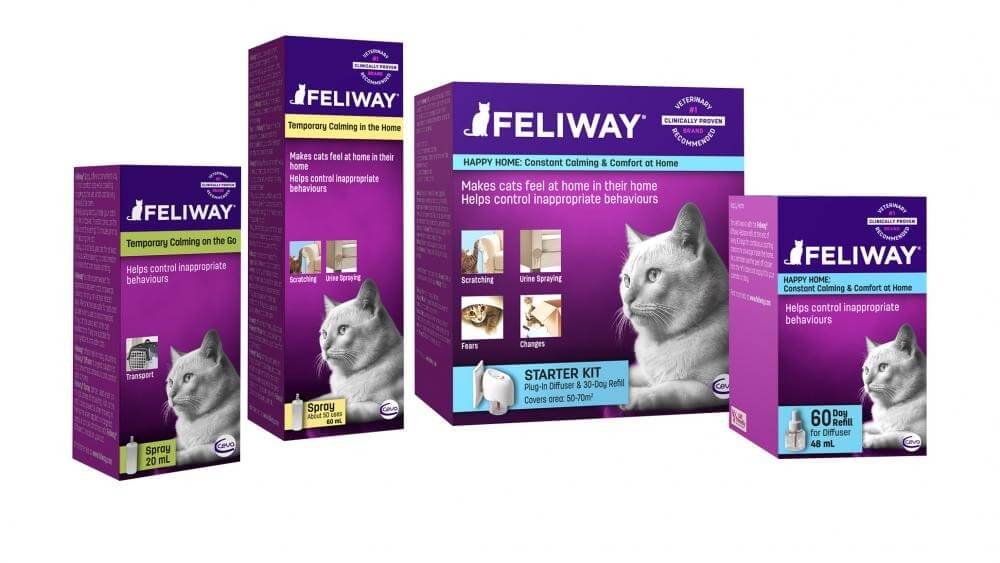 Precautions to take when using Feliway around humans