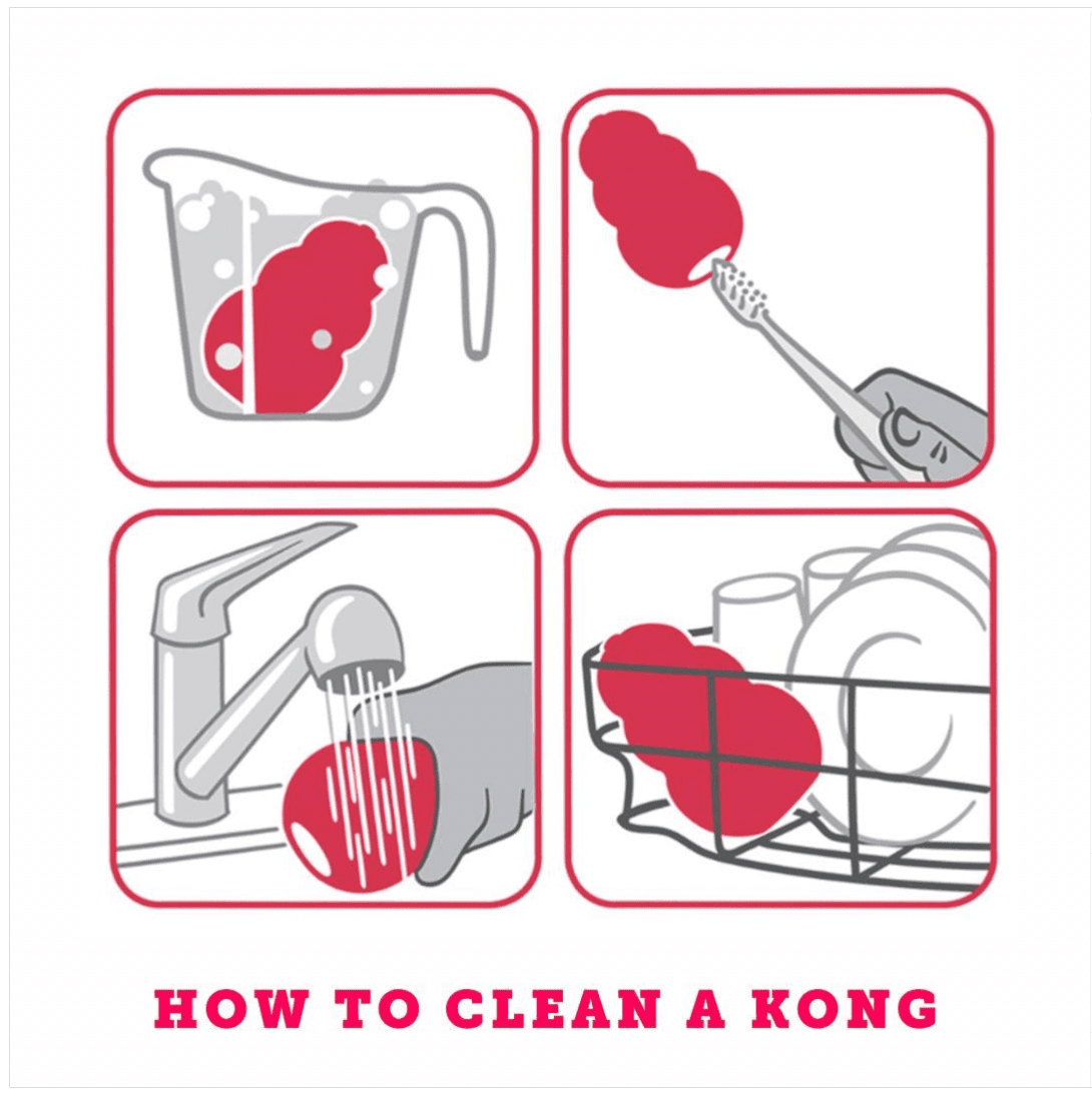 Steps to Clean Kong Dog Toys in the Dishwasher