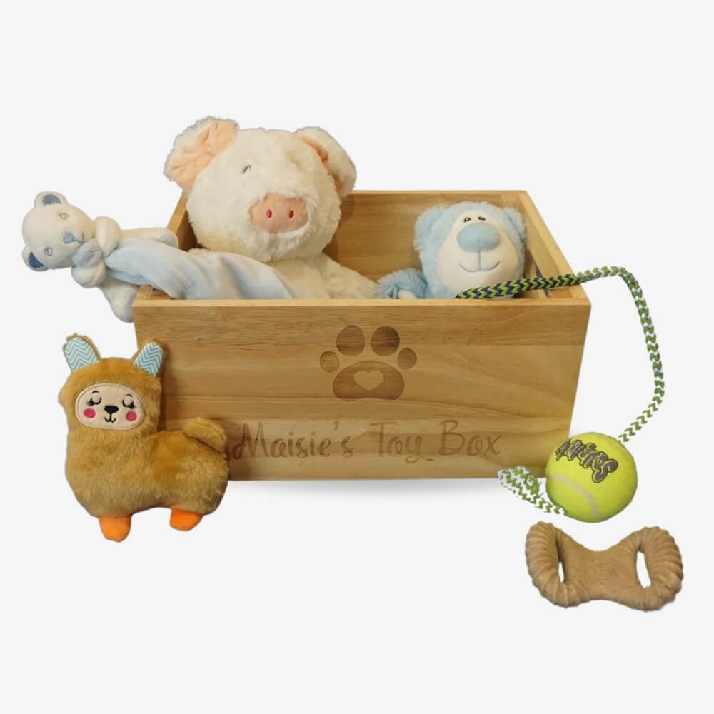 Tips for organizing and maintaining a personalised dog toy box