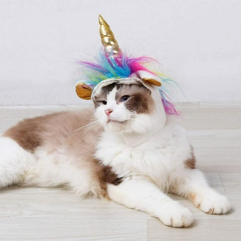 Unicorn Cat costume