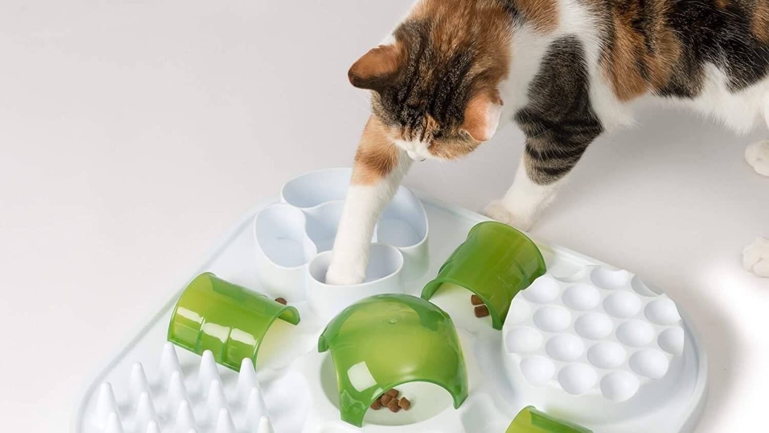 Use puzzle feeders can make mealtime more fun and encourage eating