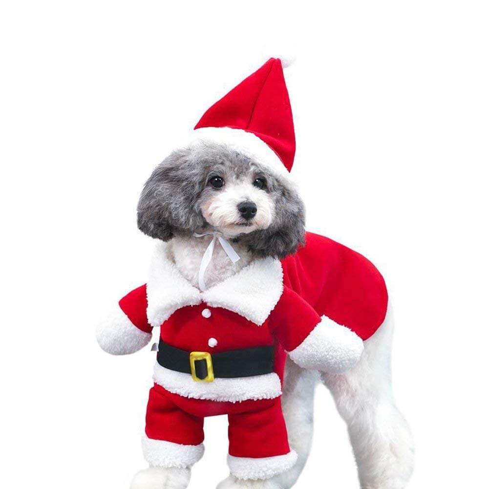 Benefits of Using a Santa Riding Dog Costume