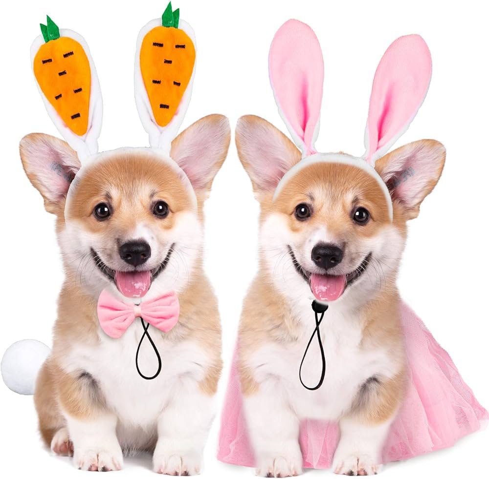 Bunny and Carrot