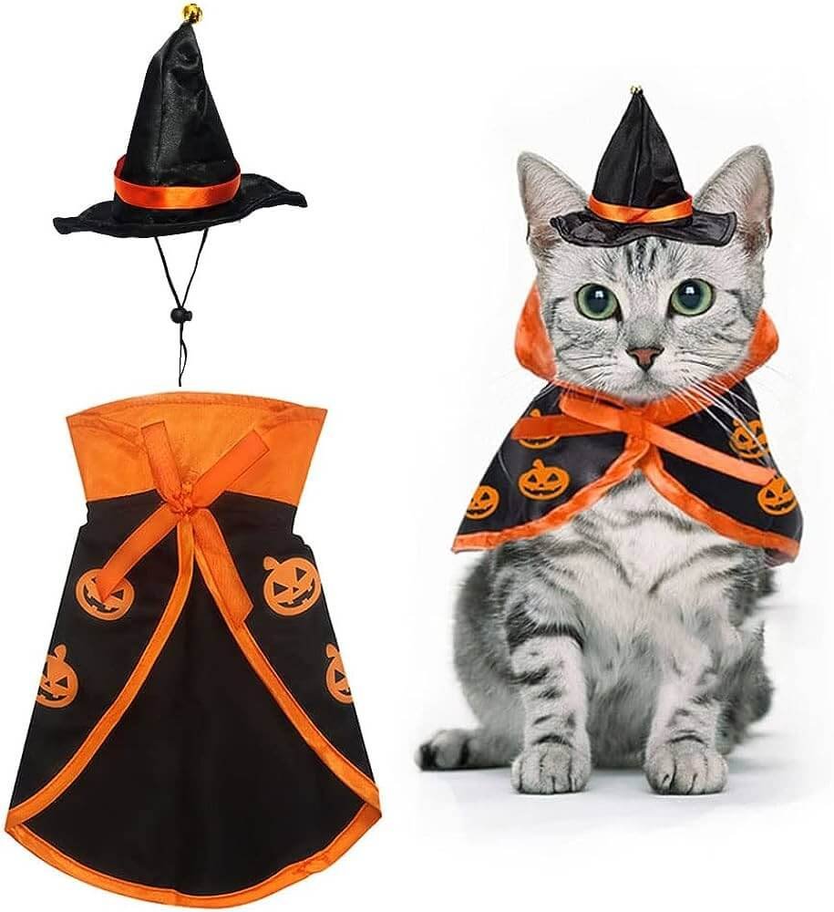 buy halloween Costumes in Online Pet Retailers