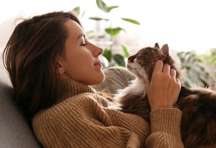 cats can tell their owner's voice apart from other voices