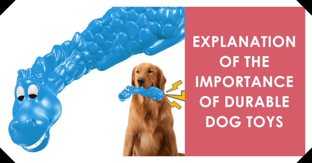 Explanation of the importance of durable dog toys