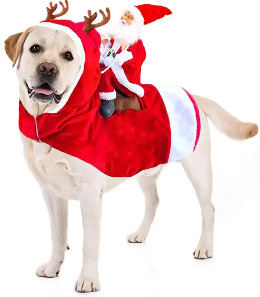 Factors to Consider When Choosing a Santa Riding Dog Costume