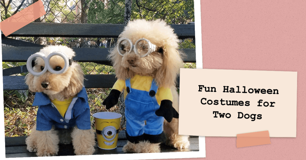 Fun Halloween Costumes for Two Dogs