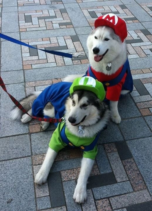 Mario and Luigi