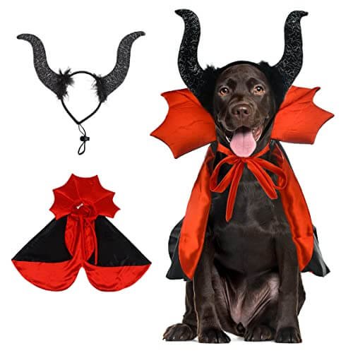 popular-xxl-dog-halloween-costumes