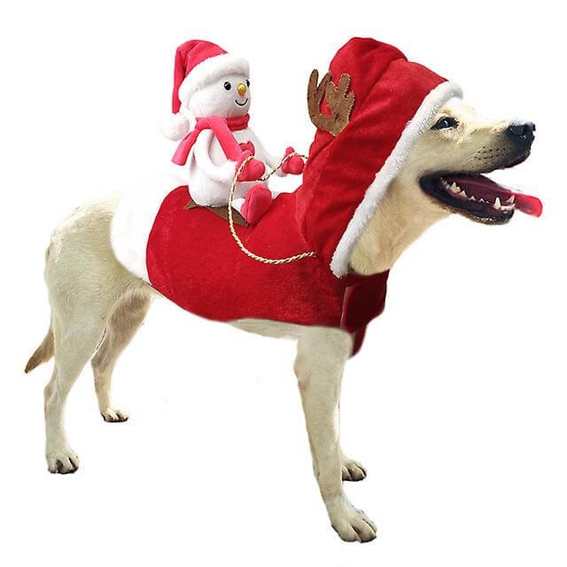 Reindeer Rider Pup