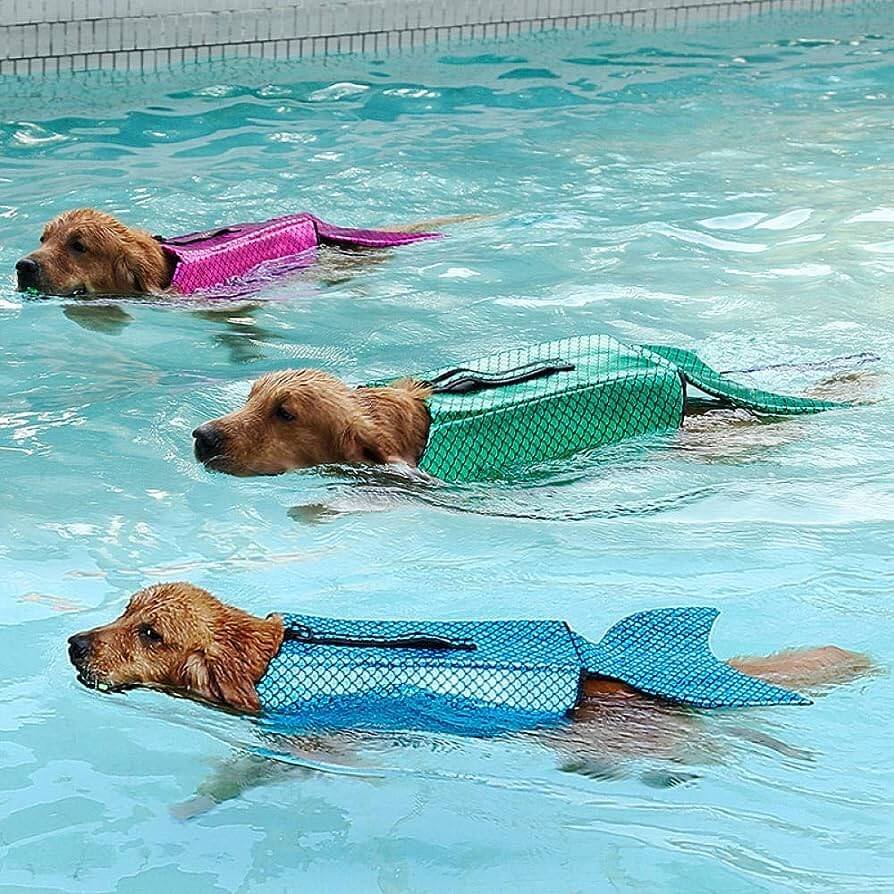 Swimmer Costume
