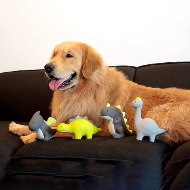 the benefits and drawbacks of the Extreme Dino Dog Toy