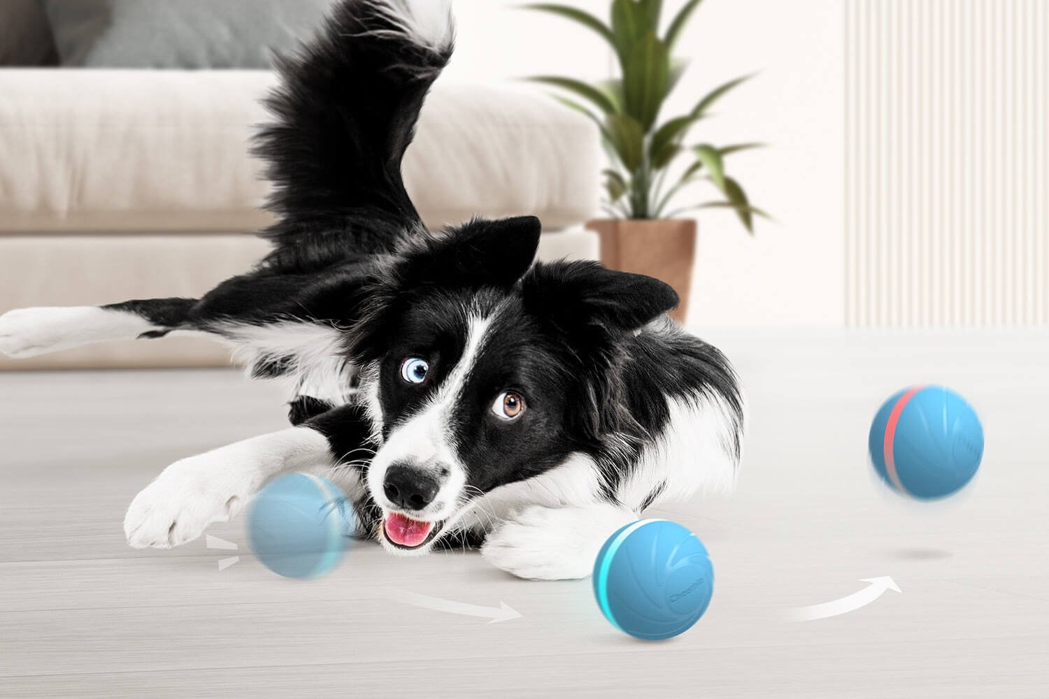 the wicked ball dog toy is an awesome product