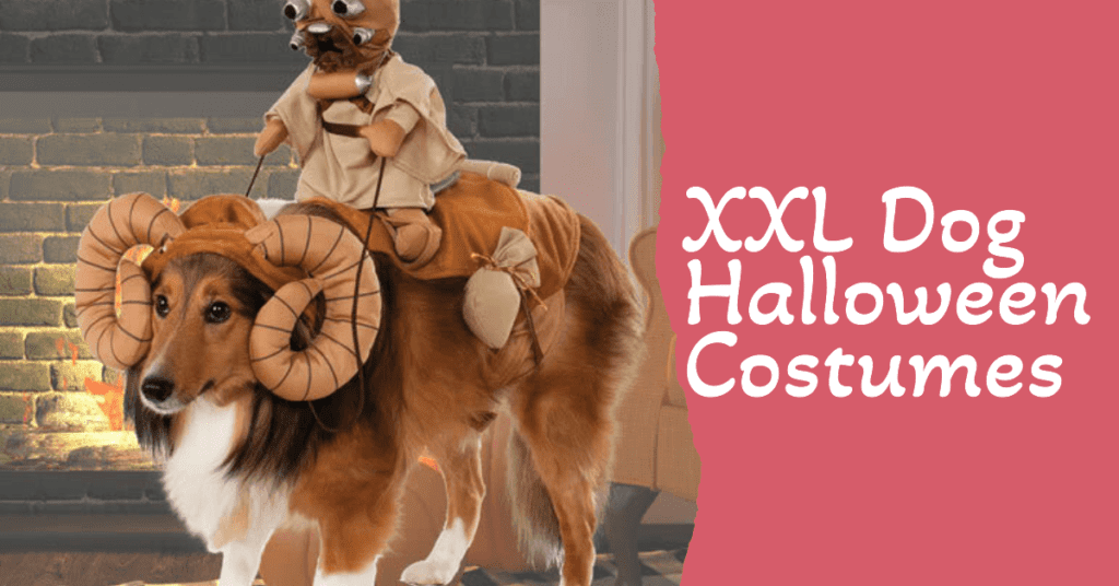 XXL Dog Halloween Costumes