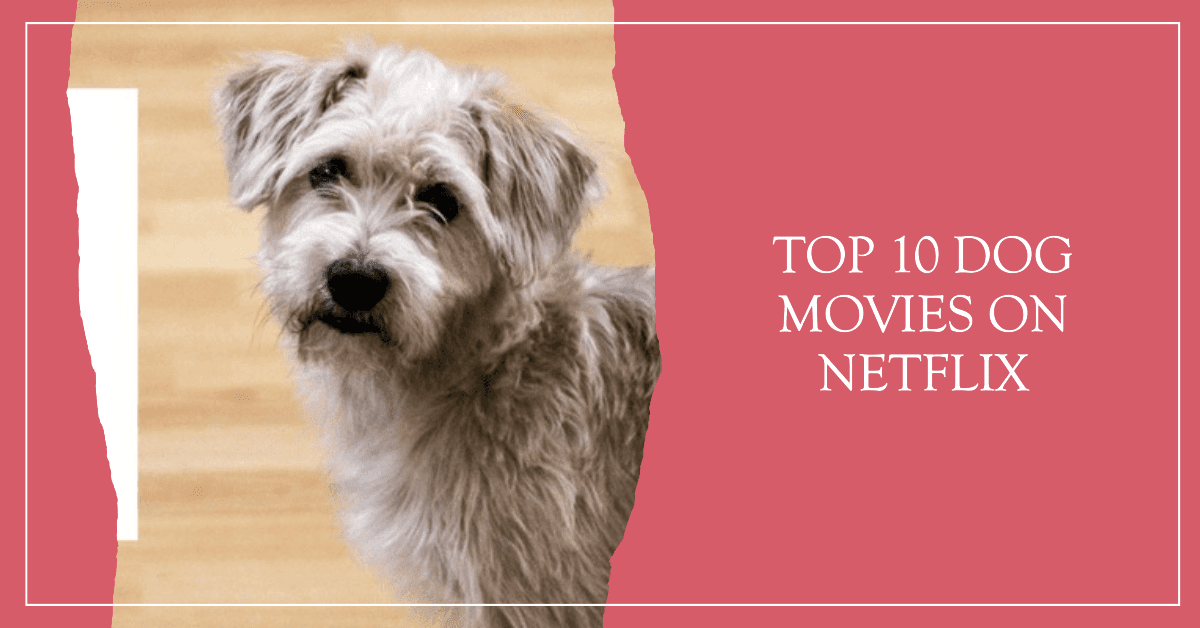 10 Great Dog Movies on Netflix