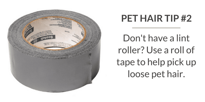 Use sticky tape or lint rollers to Remove Dog Hair